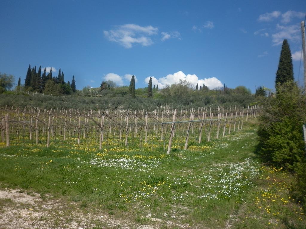 דירות SantʼAmbrogio di Valpolicella La Piccola Mimosa מראה חיצוני תמונה