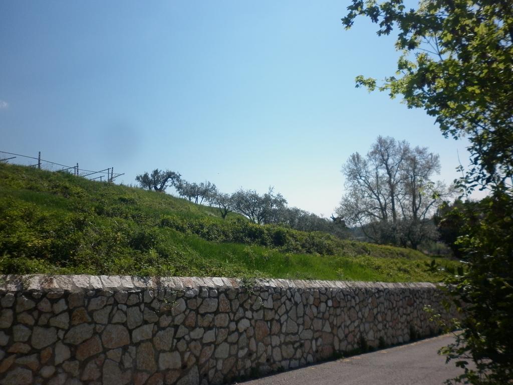 דירות SantʼAmbrogio di Valpolicella La Piccola Mimosa מראה חיצוני תמונה